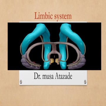 Neuroanatomy of limbic system