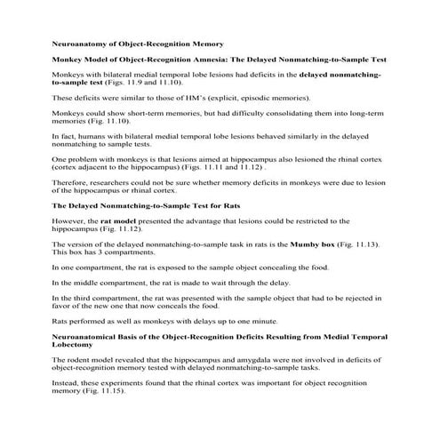 Neuroanatomy of object