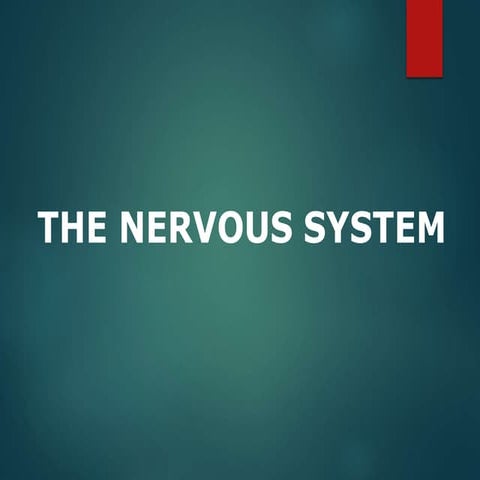 Introduction to the nervous system | PPTX