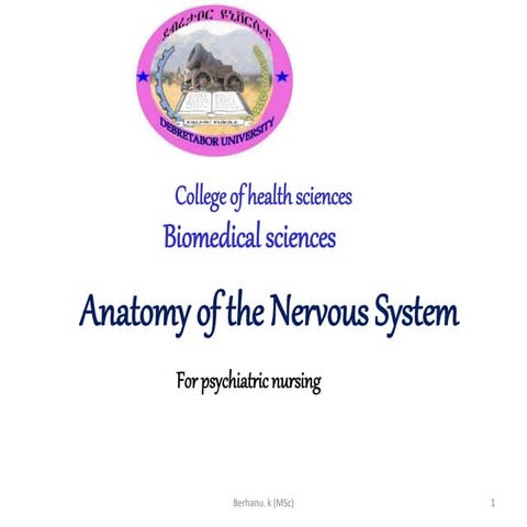 NEUROANATOMY; psychatric nurses.pptx