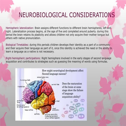 Neurobiological considerations Valeria Caicedo