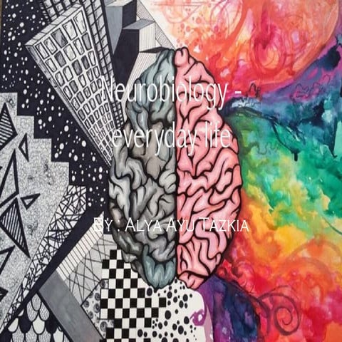 Neurobiology coursera