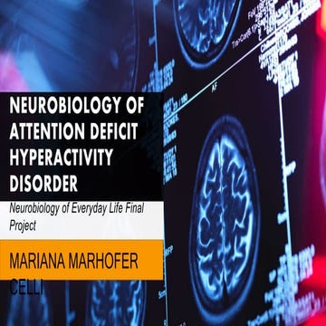 Neurobiology of attention deficit hyperactivity disorder