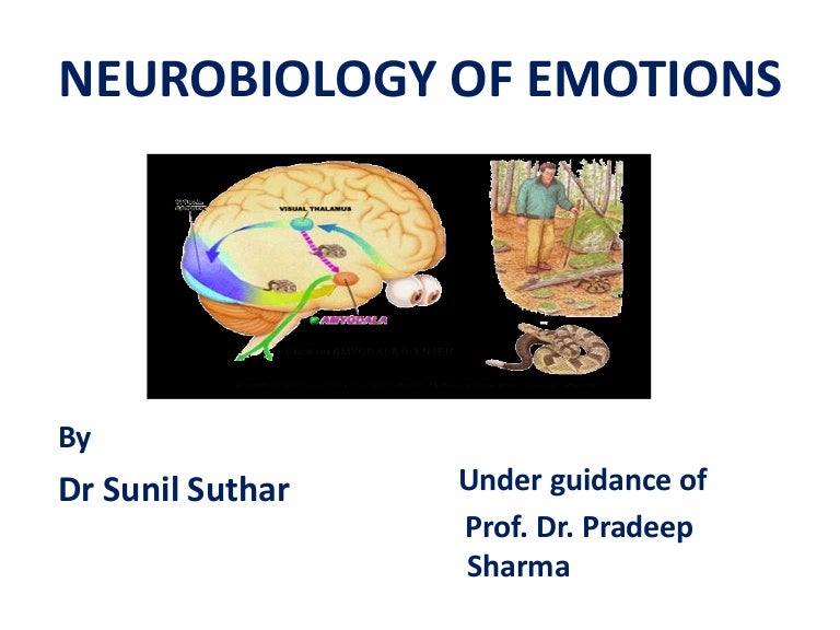 Brain Circuits For Successful Emotional >> Neurobiology Of Emotion Brain Circuits For Successful Emotional >> Neurobiology Of Emotion