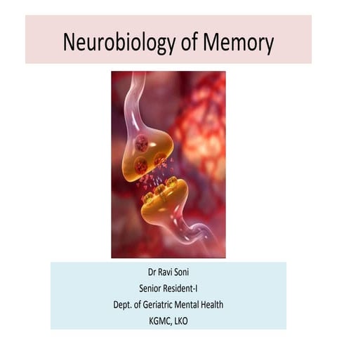 Neurobiology of memory