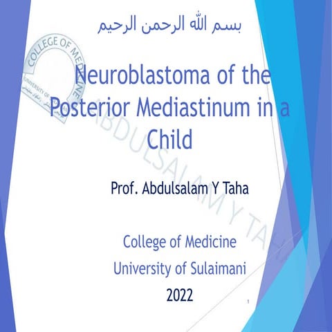 Neuroblastoma of the Posterior Mediastinum in a Child.pdf