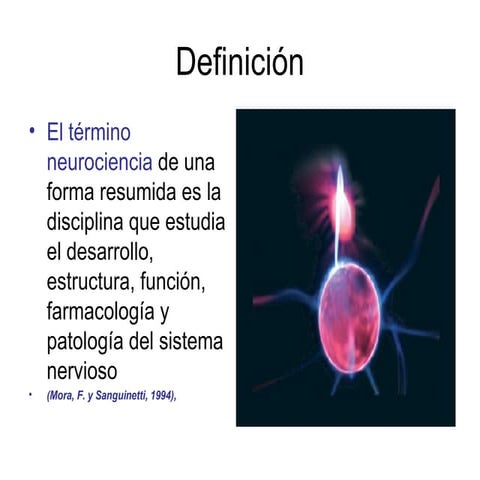 Neurobra