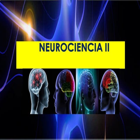Neurociencia