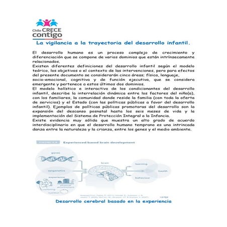 Neurociencias y desarrollo temprano