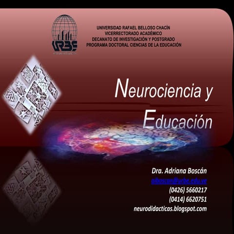 Neurociencia y educación clase 1