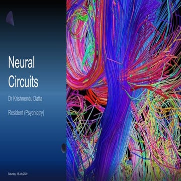 Neuro circuit