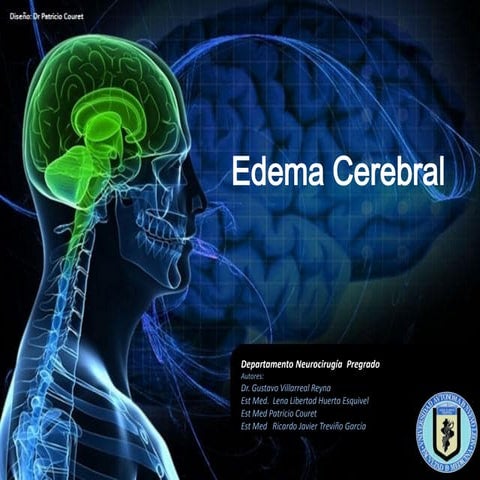 Neurocirugia   edema cerebral