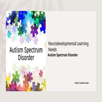 Neurodevelopmental Learning Needs  .pptx