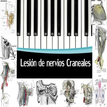 EXPLORACION DE PARES CRANEALES 