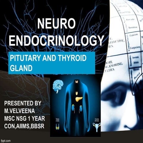 NEURO ENDOCRINOLOGY CONTENT BY VELVEENA.M