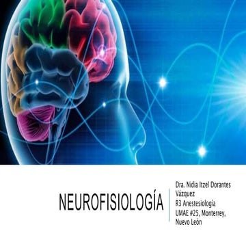 neurofisiolog-a-pptx
