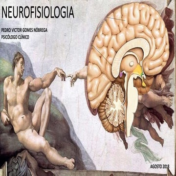 Neurofisiologia