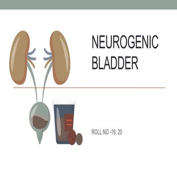 presentation on neurogenic bladder including anatomy