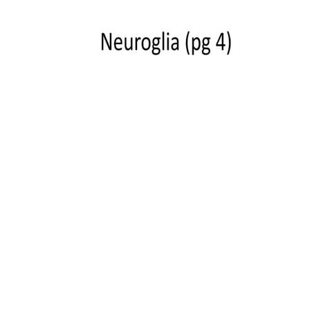 Neuroglia