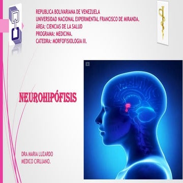 Vasopresina y Oxitocina bioquímica de hormonas neurohipofisiarias | PDF