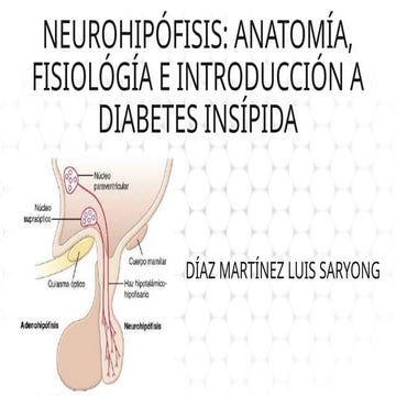 Vasopresina y Oxitocina bioquímica de hormonas neurohipofisiarias | PDF