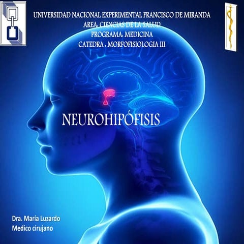 Vasopresina y Oxitocina bioquímica de hormonas neurohipofisiarias | PDF