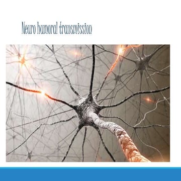Neuro humoral transmission