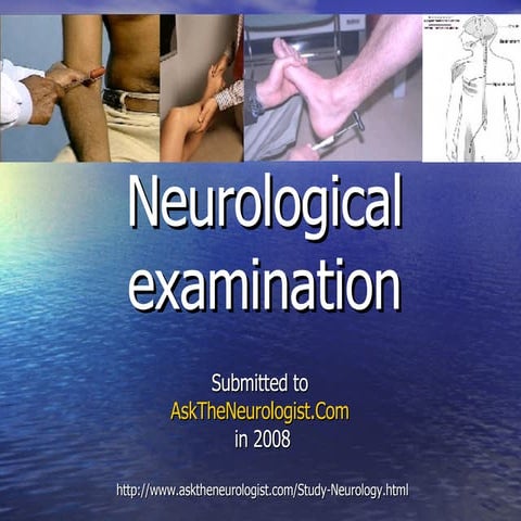 Neurological Examination 