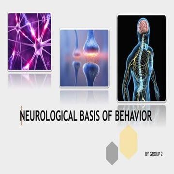 Neurological Basis Of Behavior Presentation.pptx