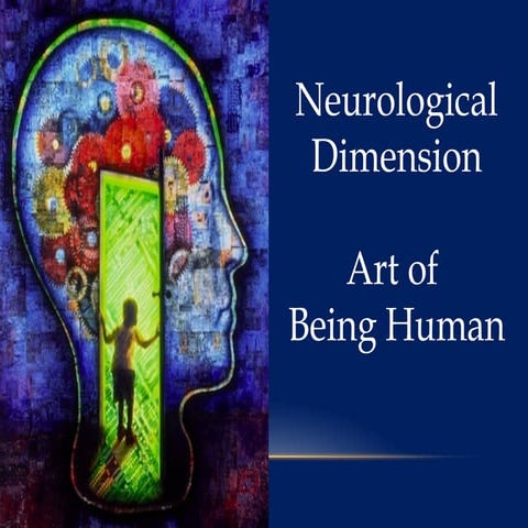 Neurological dimension