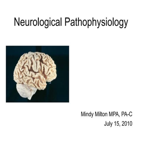 Neurological pathophysiology s2010