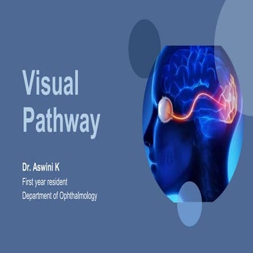 Neurology of Vision - Dr Aswini Kandasamy  (2).pptx