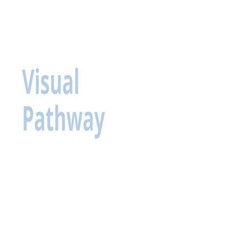 Vision............,................pptx.