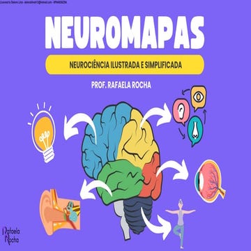 Neuromapas: Illustrated and Simplified Neuroscience with Mental Maps | PDF