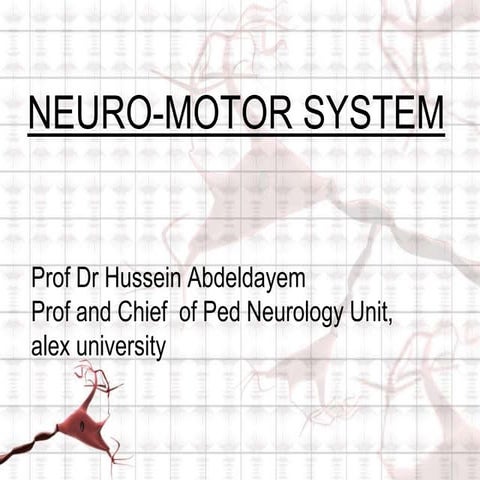 Neuromotor disorder general view: make it easy