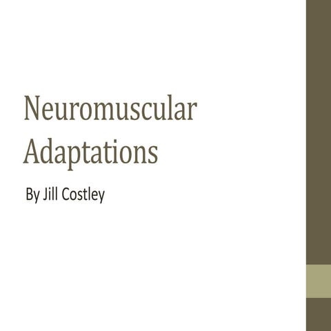 Neuromuscular Adaptations to Sports Training 