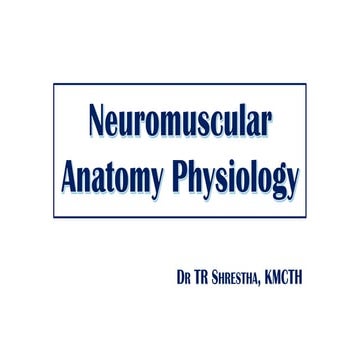 Neuromuscular anatomy physiology