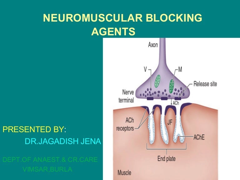 Neuromuscular blocking agents