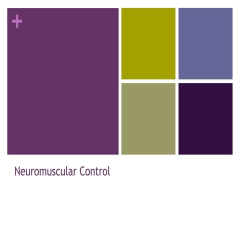 Neuromuscular control