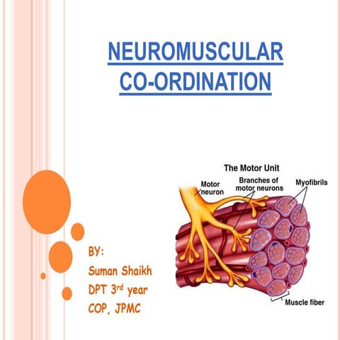 Neuromuscular Co-ordination