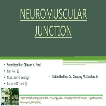 7&8- The Neuromuscular Junction & Physiology of Skeletal Muscle ...