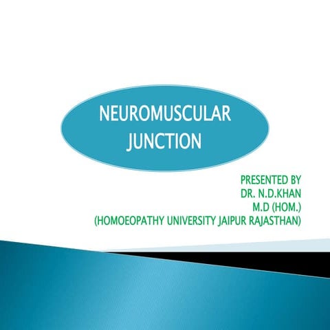 Neuromuscular junction