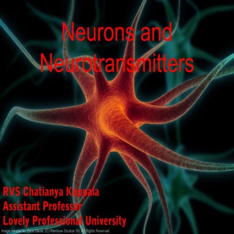 Neuron and neurotransmitters
