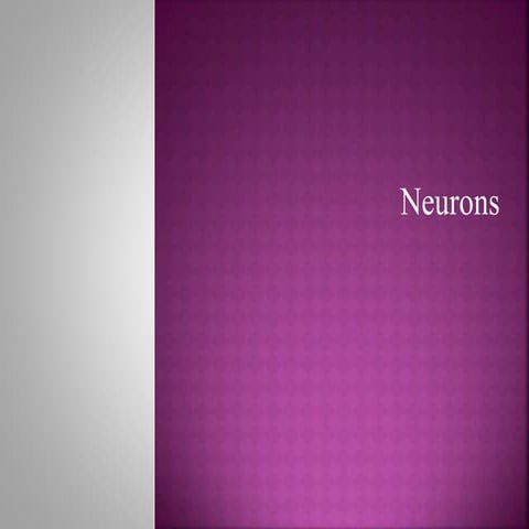 Neuron