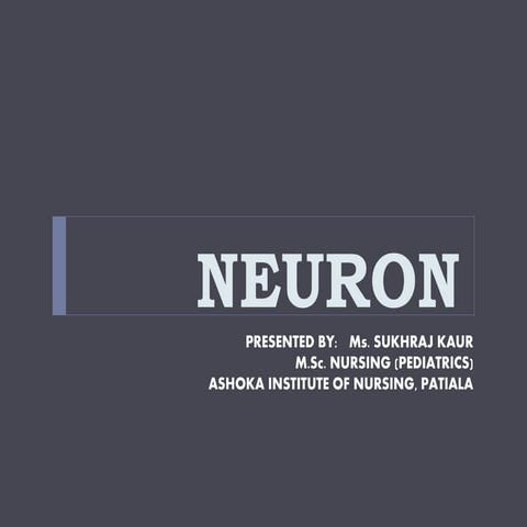 Neuron