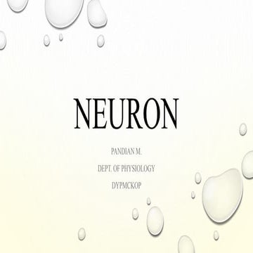 Neuron   structure and functions by Dr. Pandian M, Dept of Physiology, DYPMCK...