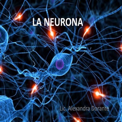 Neurona