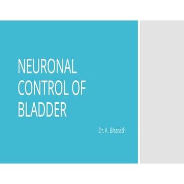 Pathways for Neuronal Control of Bladder.pptx