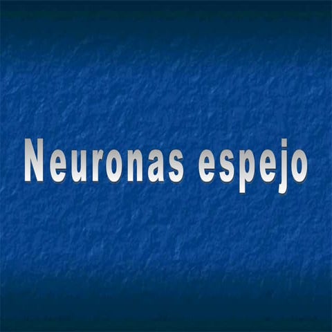 Neuronas espejo