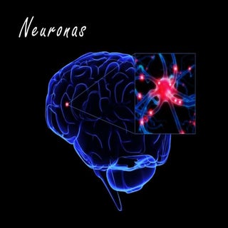 Neuronas